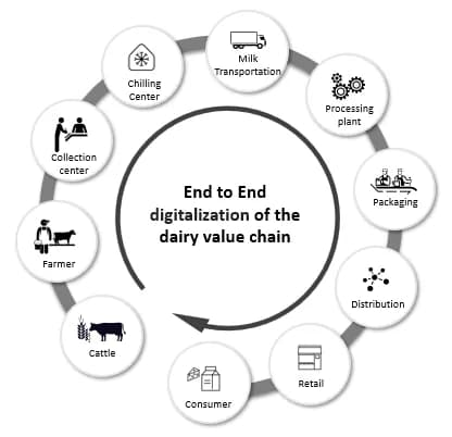 Dairy Supply Chain