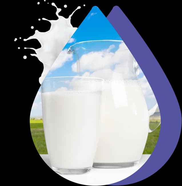 Ingredients supplier